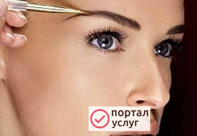 Фото Бровист