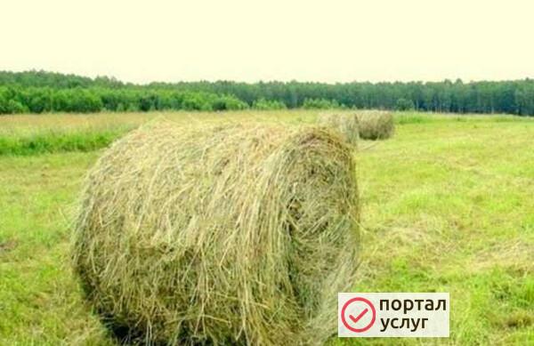 Фото Тюкование, покос