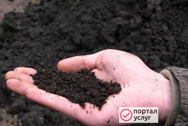 Фото Привезу торф