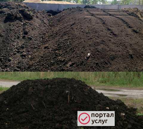 Фото Земля Торф