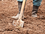 Вспашка почвы(ручная копка) 