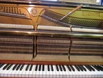 Настройщик пианино(фортепианный мастер),помощь в выборе