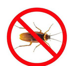 Уничтожение тараканов,клопов,блох и муравьев