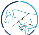 Реабилитация и физиотерапия собак