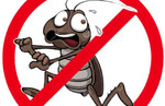 Уничтожение различных насекомых с гарантией