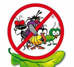 Уничтожение насекомых и грызунов гарантия