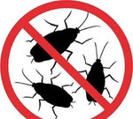 Уничтожение блох,клопов и тараканов в Керчи