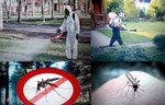 Обработка Комаров от насекомых и вредителей