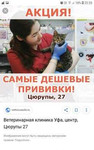 Ветеринарные услуги и груминг (стрижка кошек и соб