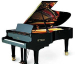 Настройка концертных роялей и пианино