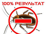 Уничтожение тараканов, клопов и др