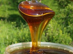 Свежий гречишный мёд (с доставкой)