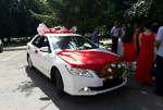 Аренда,заказ,прокат, авто на свадьбу Toyota Camry