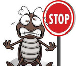 Уничтожение насекомых, тараканов, клопов, муравьев