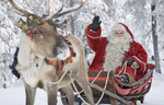 Дед мороз и снегурочка и много животных