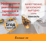 Уничтожение тараканов в Хабаровске все районы