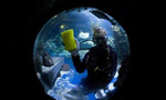 Обслуживание, чистка аквариума
