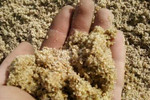 Песок, щебень, грунт,чернозём доставка