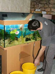 Профессиональное обслуживание аквариумов