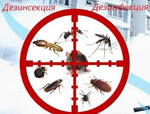 Уничтожение : тараканов, клопов,муравьев, короеда