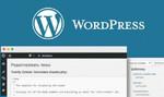 WordPress - доработка, настройка, правки