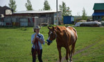 Конные прогулки фотосессия на лошадях