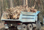 Вывоз мусора,ветки,деревья,строительный и бытовой