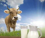 Молоко домашнее коровье