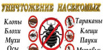 Уничтожение клещей, комаров, клопов, блох, таракан