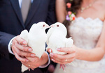 Выпуск белых голубей на свадьбу и любые торжества 
