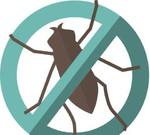Уничтожение тараканов, клопов, муравьев(насекомых)