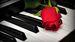 Уроки фортепиано и сольфеджио для всех желающих