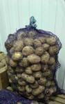Картофель крупный сорт Импала, калибр 6+