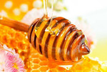Цветочный мед оптом