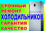Ремонт холодильников на дому в Альметьевске и р-не