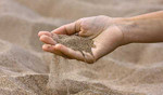 Песок,щебень, земля плодородная, торф,песок