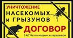 Уничтожение тараканов клопов клещей Курганинск