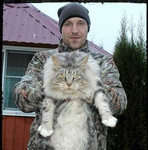 Серебрянный кот Интер Чемпион WCF. Вязка