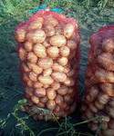 Продам картофель свежего урожая