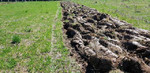 Обработка почвы (пашу, культивирую, бороную)