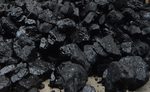 Плиточный уголь фракции 50-200мм в мешках