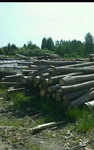 Продажа доставка всех видов дров