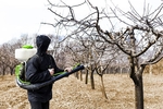 Опрыскивание сада, деревьев от болезней в Сергиев Поссаде