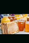 Цветочный мёд с собственной пасеки
