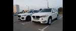 Прокат белого BMW X5 в Барнауле