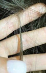 Наращивание волос нано капсул (волосы +работа) за