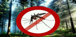 Обработка от комаров, клещей, муравьев