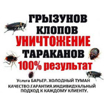 Уничтожение- травля тараканов, клопов