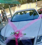 Skoda Octavia прокат авто на свадьбу