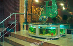 Чистка аквариумов в Алуште, Ялте и Симферополе